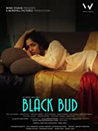 Black Bud 2021 Full Movie Download Filmy4WEB