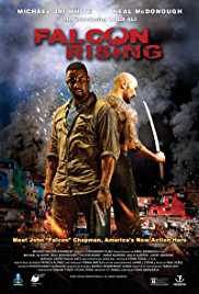 Falcon Rising 2014 Dual Audio Hindi 480p 300MB Filmy4WEB