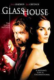 Glass House The Good Mother 2006 Dual Audio Hindi 480p Filmy4WEB