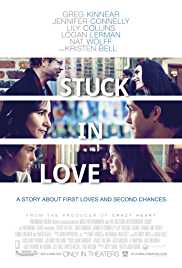 Stuck In Love 2012 Dual Audio Hindi 480p 300MB Filmy4WEB