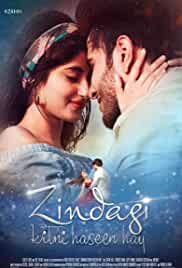 Zindagi Kitni Haseen Hay 2016 Full Movie Download Filmy4WEB